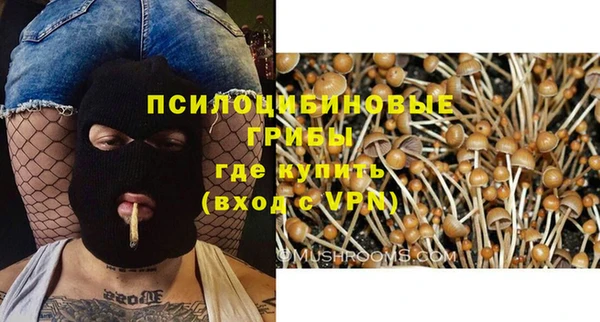 прущий лед Каменногорск